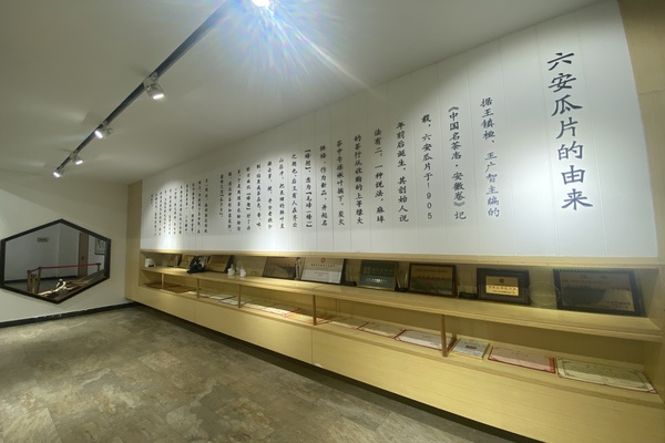 现在直播带货怎么样